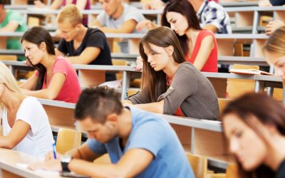 The Complete Web Developer Course